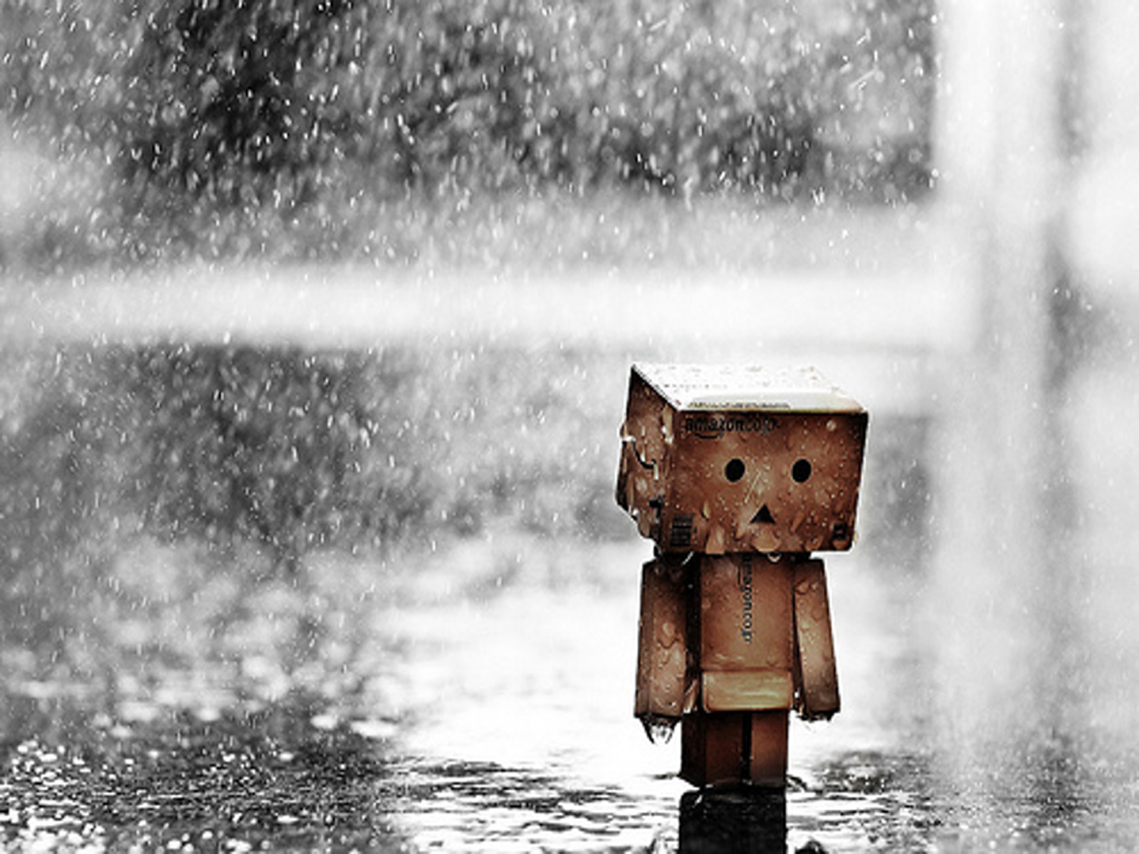 http://up2www.com/uploads/f48528_14danboard-boxman-kutu-adam-rain-cry-w%D8%B2ww-vvallpaper-net.jpg
