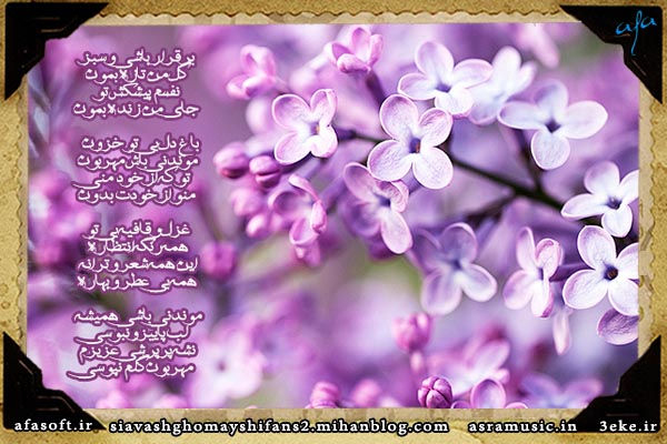 سیاوش قمیشی - رگبار - گل من