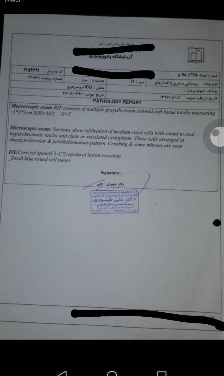 نجات میلاد